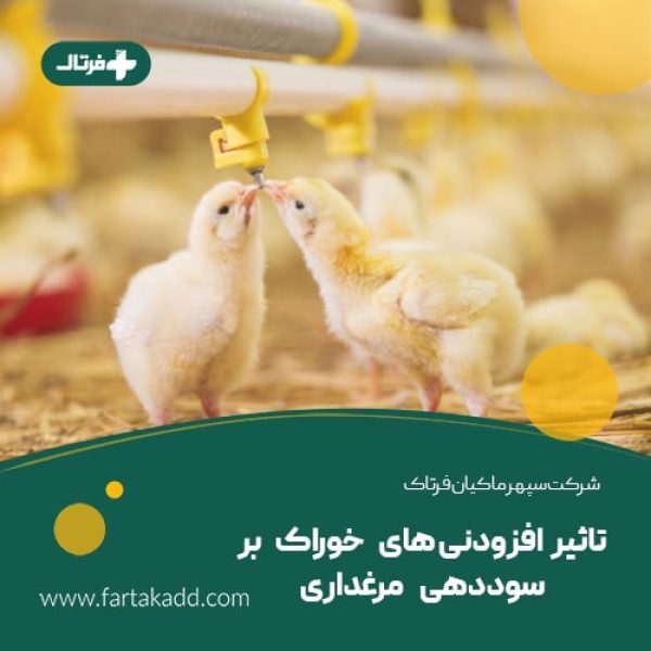 تاثیر افزودنی های خوراک بر سوددهی مرغداری