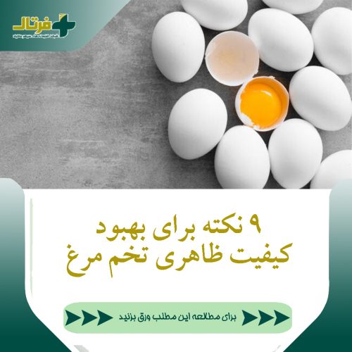 9 نکته برای بهبود کیفیت ظاهری تخم مرغ