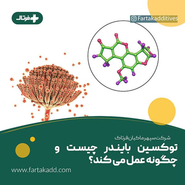 توکسین بایندر چیست