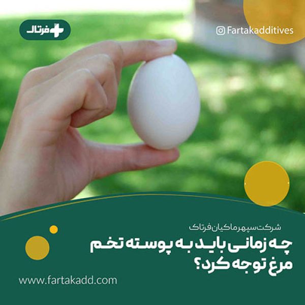 حفظ کیفیت پوسته تخم مرغ