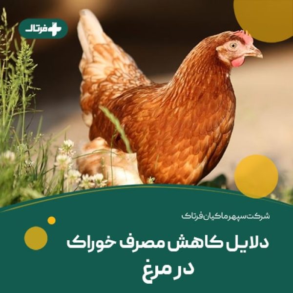 کاهش مصرف خوراک کاهش مصرف خوراک