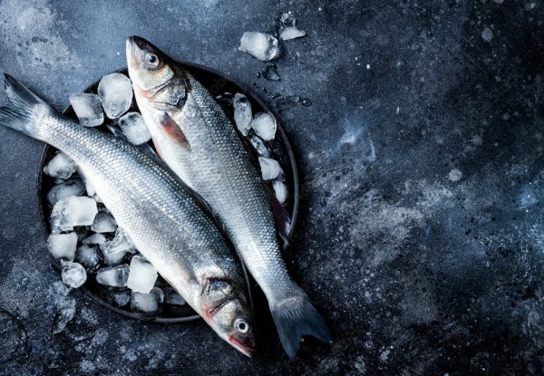 ضریب تبدیل خوراک قزل الا