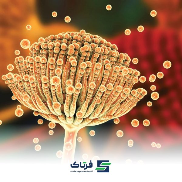 عملکرد توکسین بایندر چند جزئی