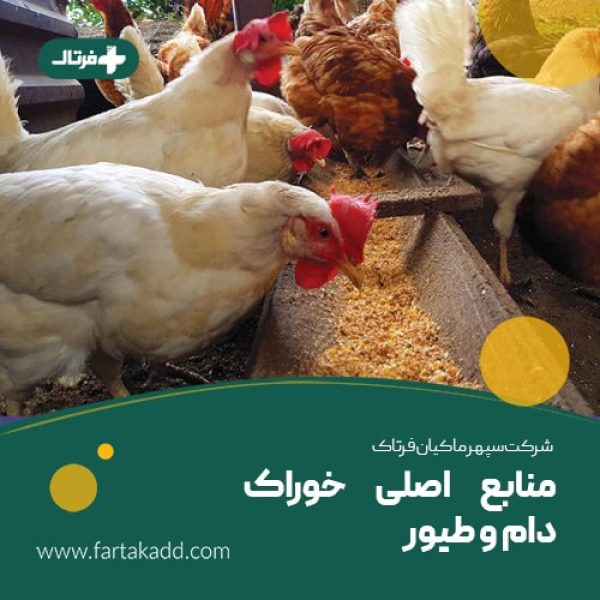 منابع خوراک دام و طیور