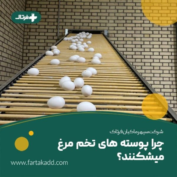 چرا پوسته تخم مرغ می شکنند-